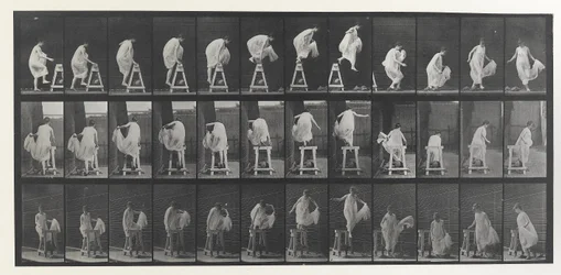Planche de locomotion animale